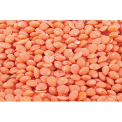 Lentilles corail  500gr