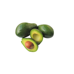 Avocat Tropical